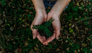 Responsibility for energy and environment